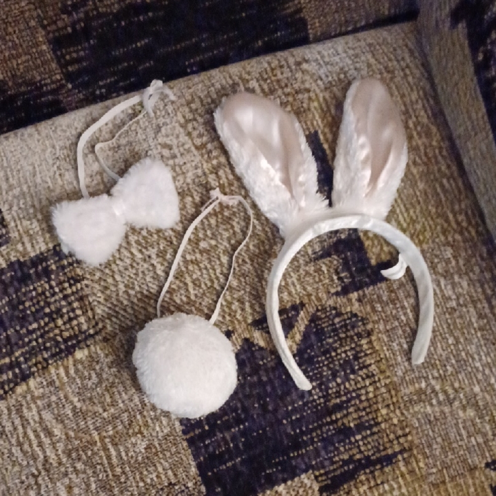 4/$30 White Bunny Costume Accessories